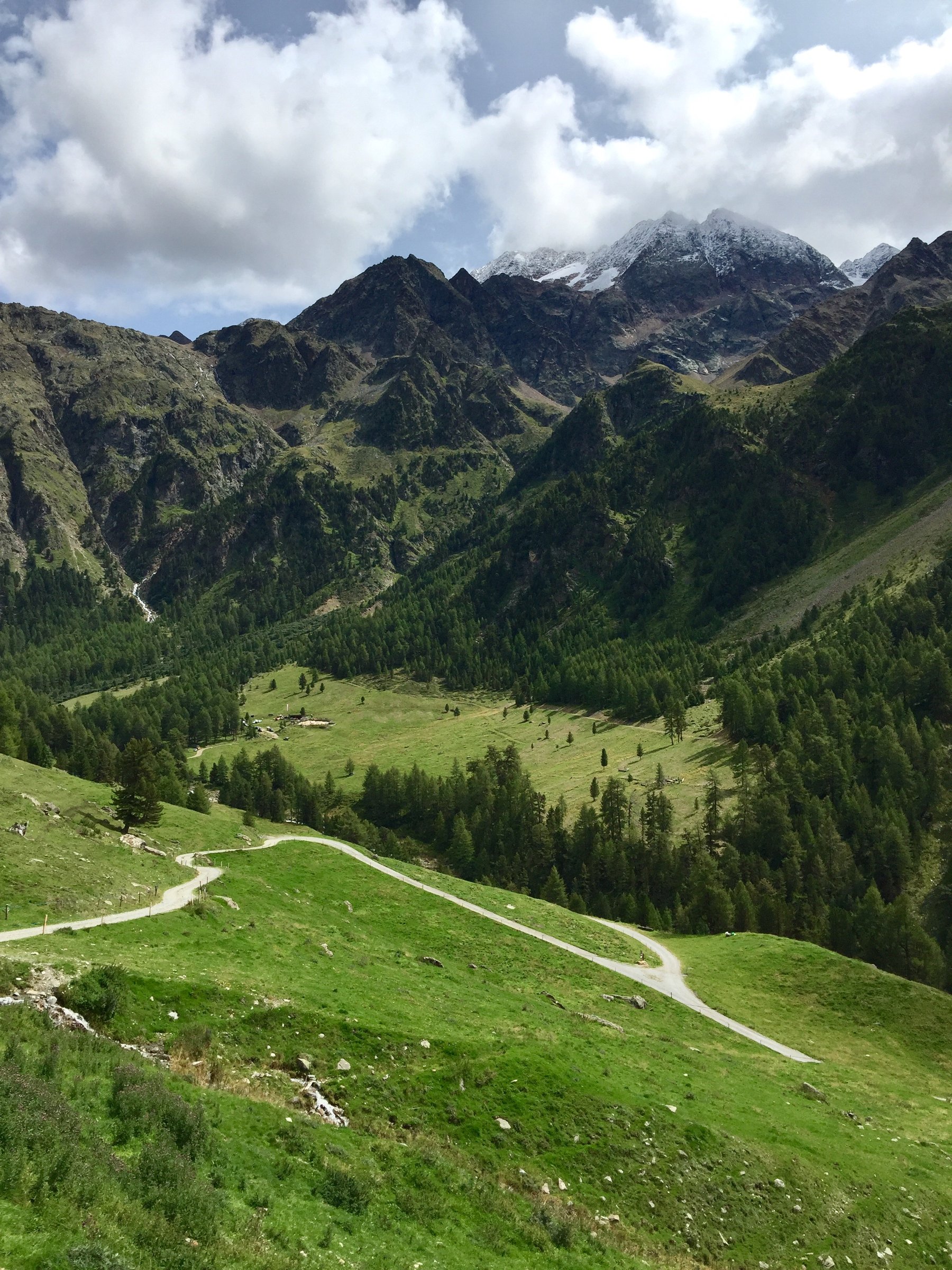 Sentiero escursionistico attraverso una valle verde con vetta innevata