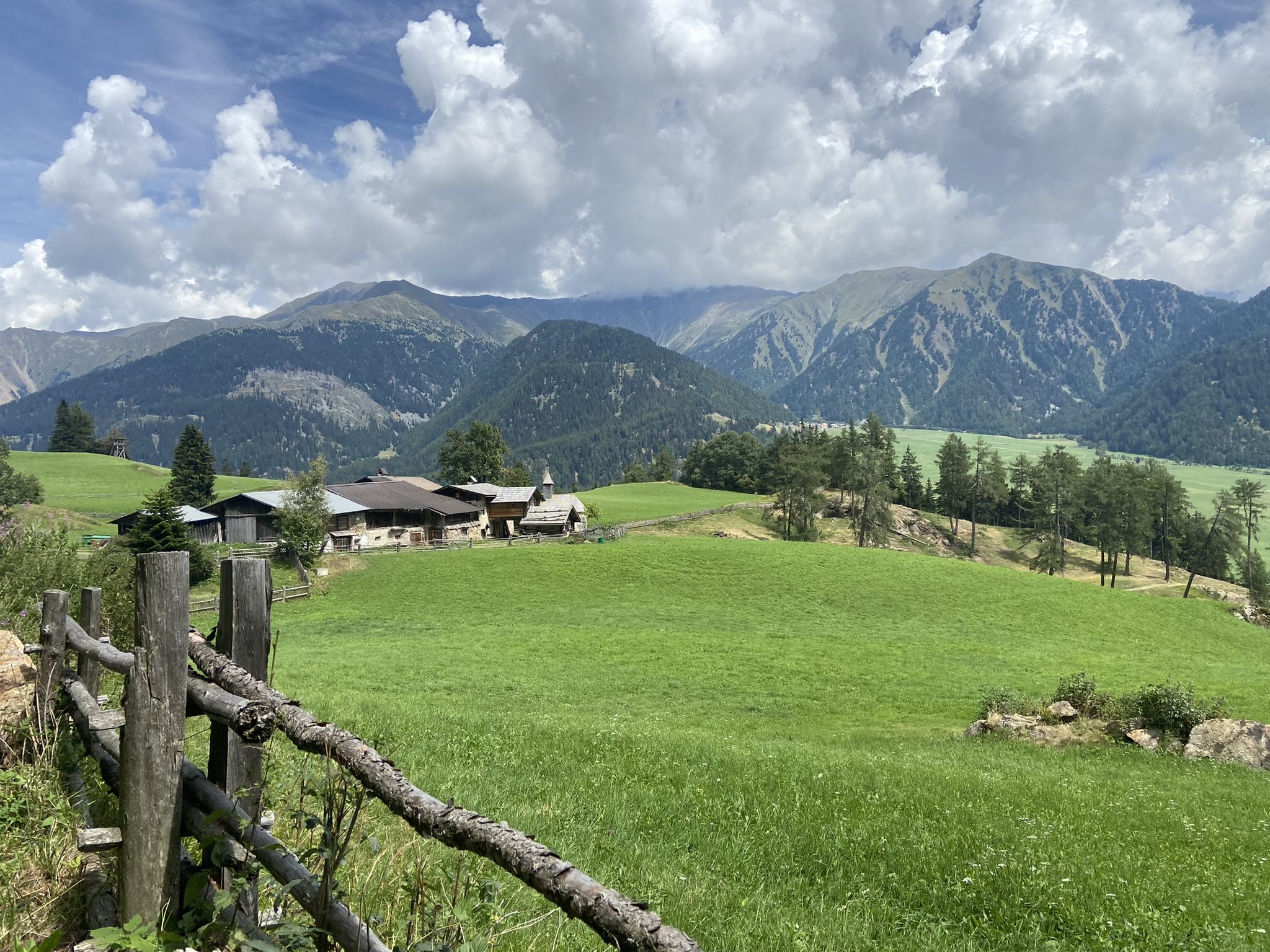 Almwiese mit Bauernhof und Bergpanorama im Sommer