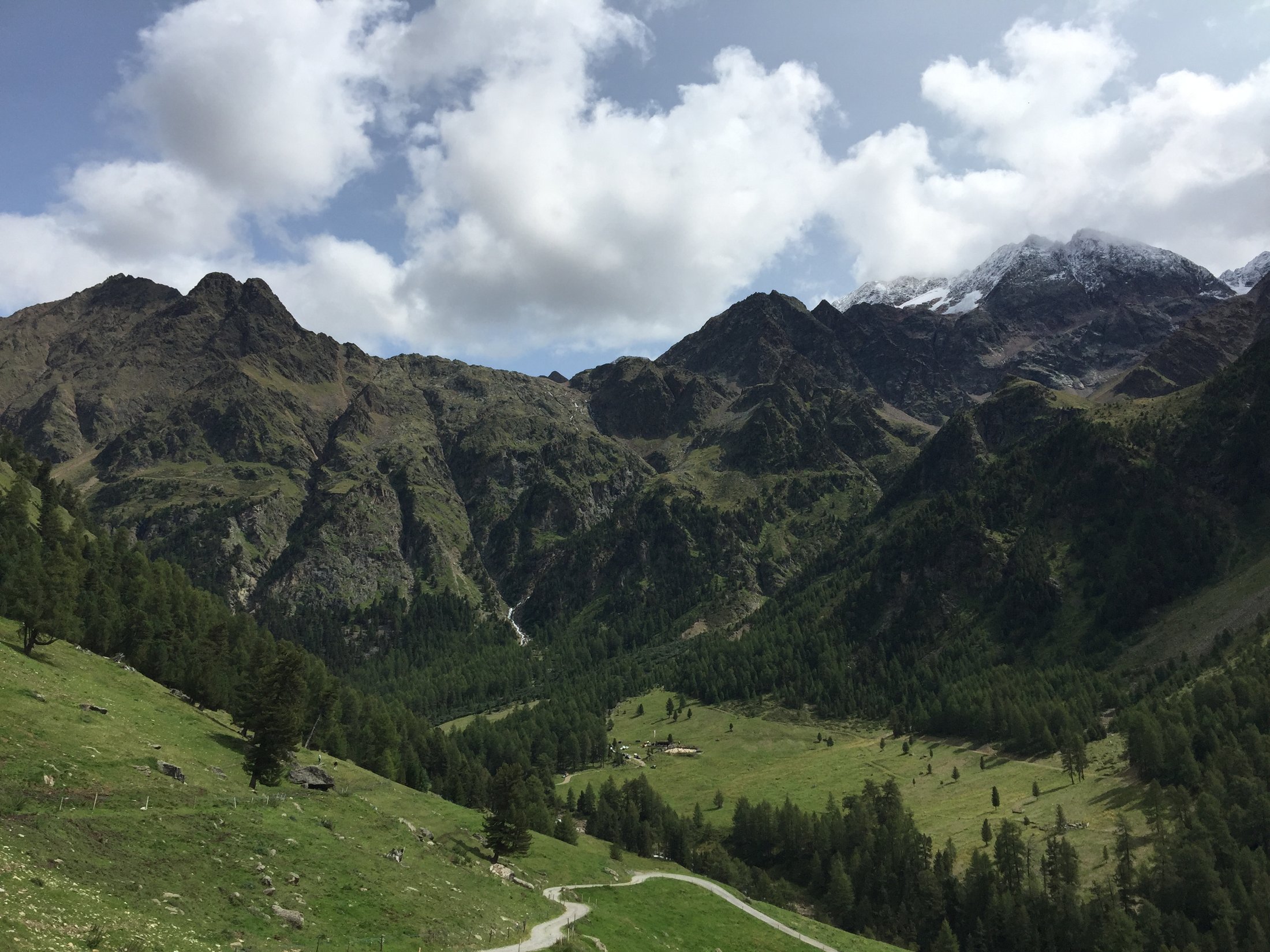 Verde valle alpina con sentiero escursionistico e vette innevate